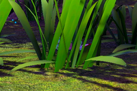 Beispielfoto für 3 Stern(e) Beispielfoto für 3 Stern(e)