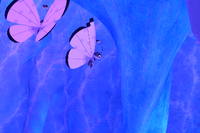 Beispielfoto für 3 Stern(e) Beispielfoto für 3 Stern(e)