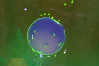 Beispielfoto für 4 Stern(e) Beispielfoto für 4 Stern(e)