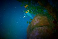 Beispielfoto für 4 Stern(e) Beispielfoto für 4 Stern(e)