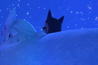 Beispielfoto für 4 Stern(e) Beispielfoto für 4 Stern(e)