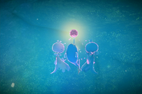 Beispielfoto für 4 Stern(e) Beispielfoto für 4 Stern(e)