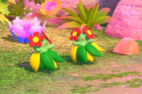 Beispielfoto für 4 Stern(e) Beispielfoto für 4 Stern(e)