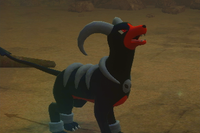 Beispielfoto für 4 Stern(e) Beispielfoto für 4 Stern(e)