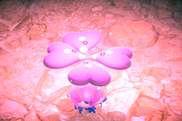 Beispielfoto für 4 Stern(e) Beispielfoto für 4 Stern(e)