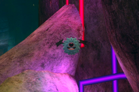 Beispielfoto für 4 Stern(e) Beispielfoto für 4 Stern(e)