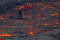 Beispielfoto für 4 Stern(e) Beispielfoto für 4 Stern(e)