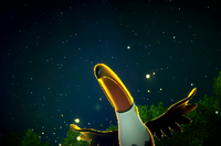 Beispielfoto für 4 Stern(e) Beispielfoto für 4 Stern(e)