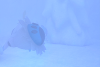 Beispielfoto für 4 Stern(e) Beispielfoto für 4 Stern(e)