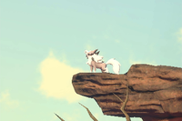 Beispielfoto für 4 Stern(e) Beispielfoto für 4 Stern(e)