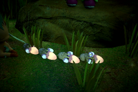 Beispielfoto für 4 Stern(e) Beispielfoto für 4 Stern(e)