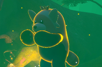 Beispielfoto für 4 Stern(e) Beispielfoto für 4 Stern(e)