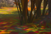 Beispielfoto für 4 Stern(e) Beispielfoto für 4 Stern(e)