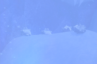 Beispielfoto für 4 Stern(e) Beispielfoto für 4 Stern(e)