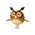 Hoothoot Hoothoot