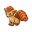 Vulpix Vulpix