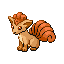 Vulpix Vulpix