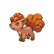 Vulpix Vulpix