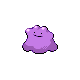 Ditto Ditto