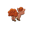 Vulpix Vulpix