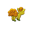 Vulpix Vulpix