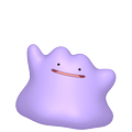 Ditto Ditto