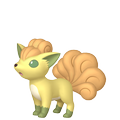 Vulpix Vulpix
