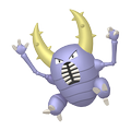Pinsir Pinsir