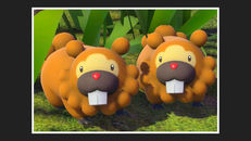 Screenshot von Bidiza (Grovyle) Screenshot von Bidiza (Grovyle)