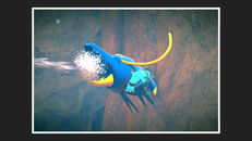 Screenshot von Wummer (Strohkopf) Screenshot von Wummer (Strohkopf)