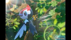 Screenshot von Peppeck (Grovyle) Screenshot von Peppeck (Grovyle)