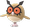Hoothoot