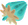 Dimensions-Hibisbeere