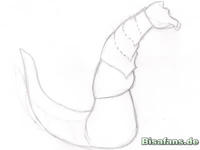 Zeichenkurs Maxax - Schritt 1