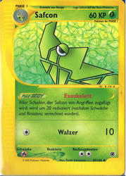 Expedition 87/165 Safcon