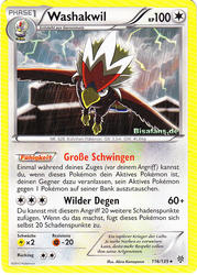 Plasma-Sturm 116/135 Washakwil