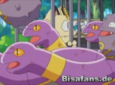 Pokemon Anime Folge 2 In Den Fangen Des Wilderers Bisafans De