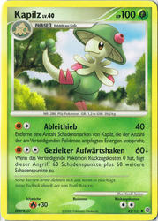 Rätselhafte Wunder 45/132 Kapilz