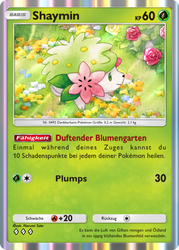 Kollision von Raum und Zeit 022/155 Shaymin