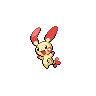  Plusle 