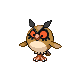 Hoothoot Hoothoot
