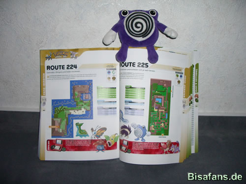 Detaillierte Karten mit vielen Infos Screenshot