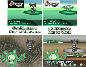 Exklusive Pokémon Exklusive Pokémon