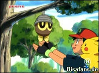 Screenshot  Screenshot