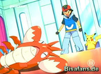 Screenshot  Screenshot