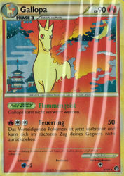 Triumph 8/102 Gallopa