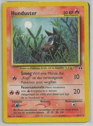 Neo Entdeckung 24/75 Hunduster