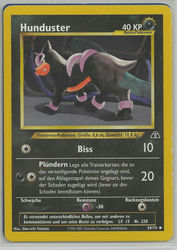 Neo Entdeckung 39/75 Hunduster