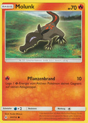 Kräfte im Einklang 30/214 Molunk