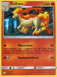 Welten im Wandel 24/236 Gallopa